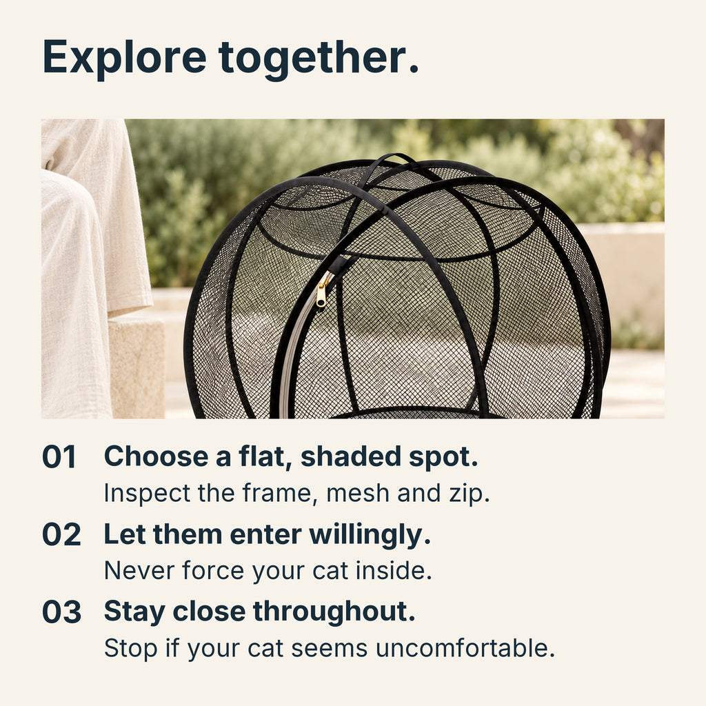 Supervised use: choose a flat shaded spot and inspect the sphere; let your cat enter willingly; stay close and stop if uncomfortable.