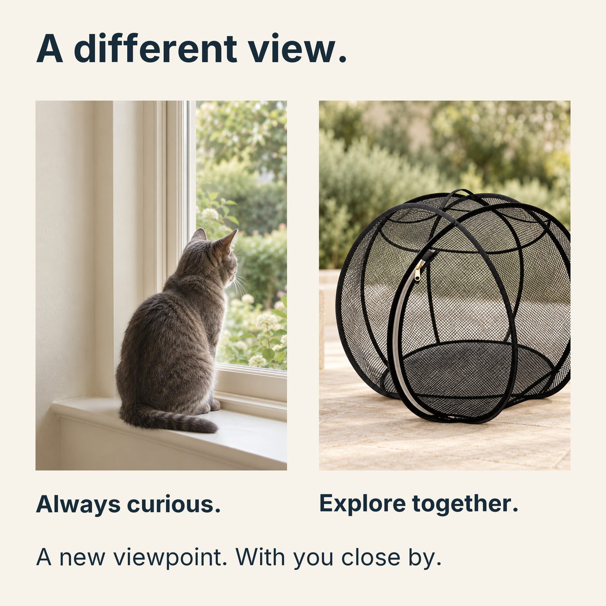 A curious cat looks through a window, paired with the sphere on a shaded patio for supervised exploration.